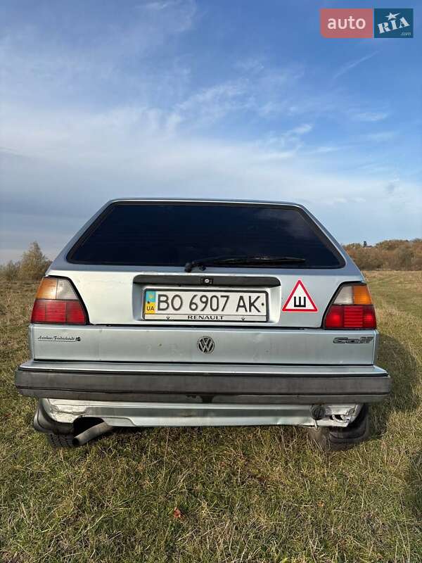 Хэтчбек Volkswagen Golf 1988 в Теофиполе