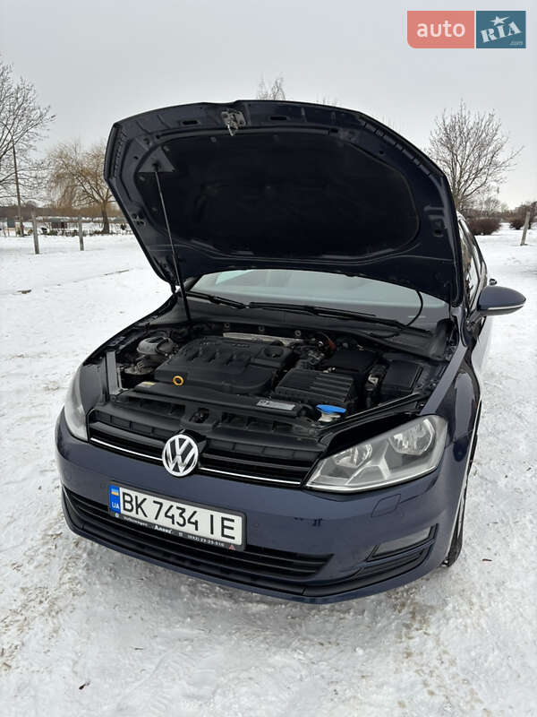 Хэтчбек Volkswagen Golf 2013 в Нетешине фото 15 Хэтчбек Volkswagen Golf 2013 в Нетешине