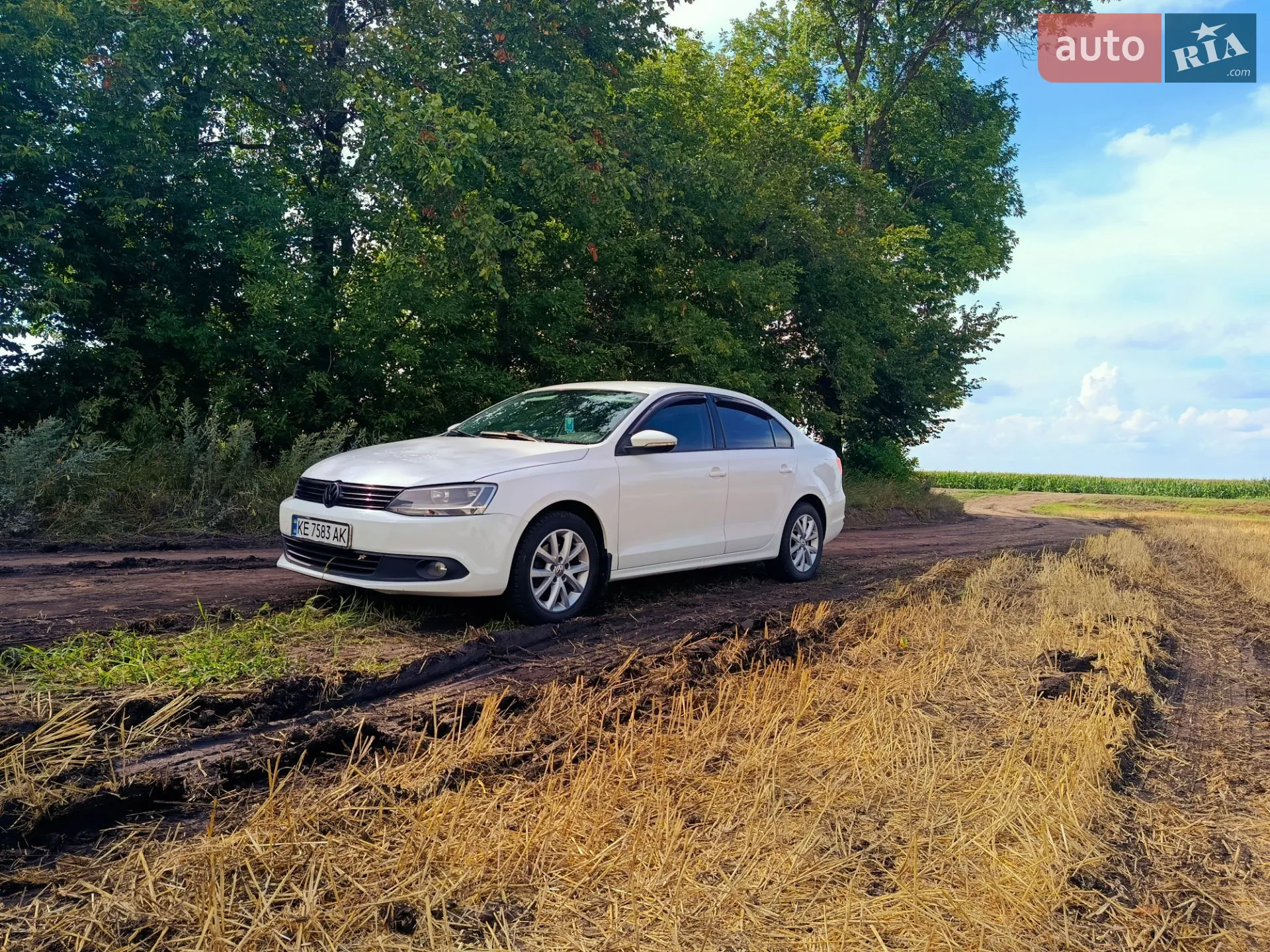 2012 Volkswagen Jetta - мініатюра 12