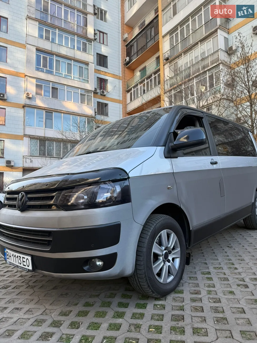 2010 Volkswagen Multivan - фото 1