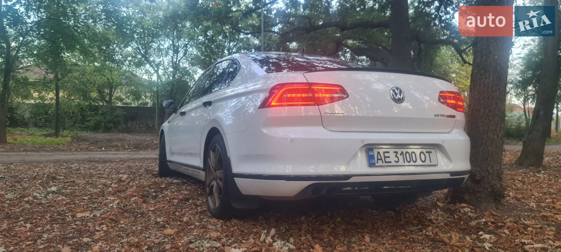 2015 Volkswagen Passat - мініатюра 96