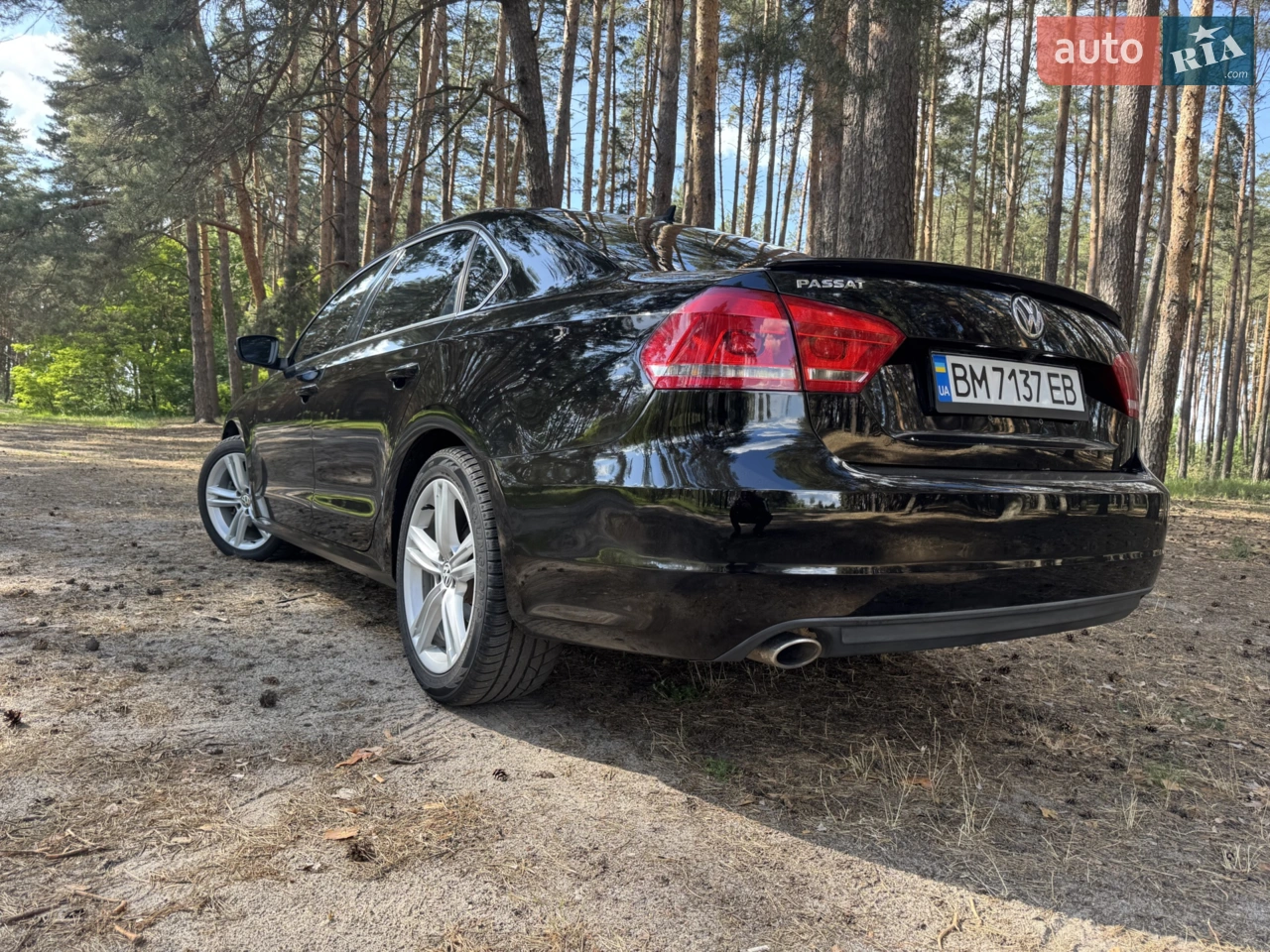 2013 Volkswagen Passat - мініатюра 12