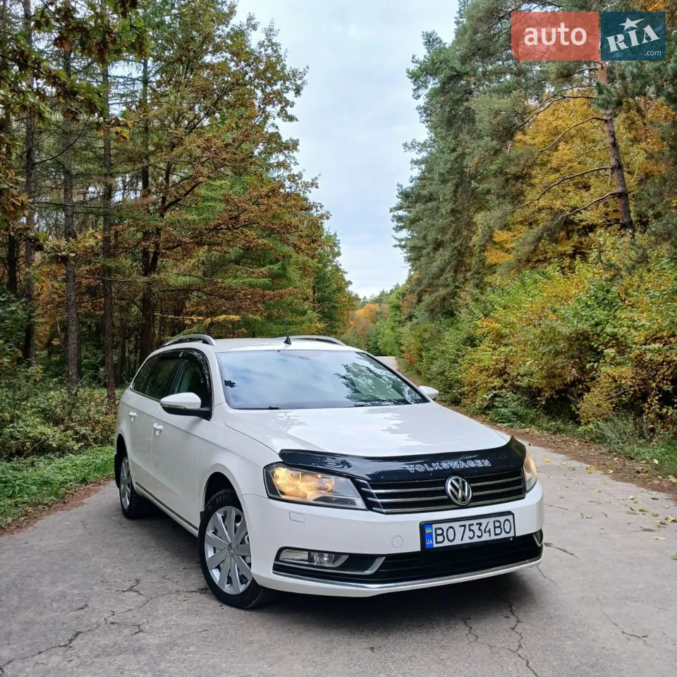 2010 Volkswagen Passat - мініатюра 11