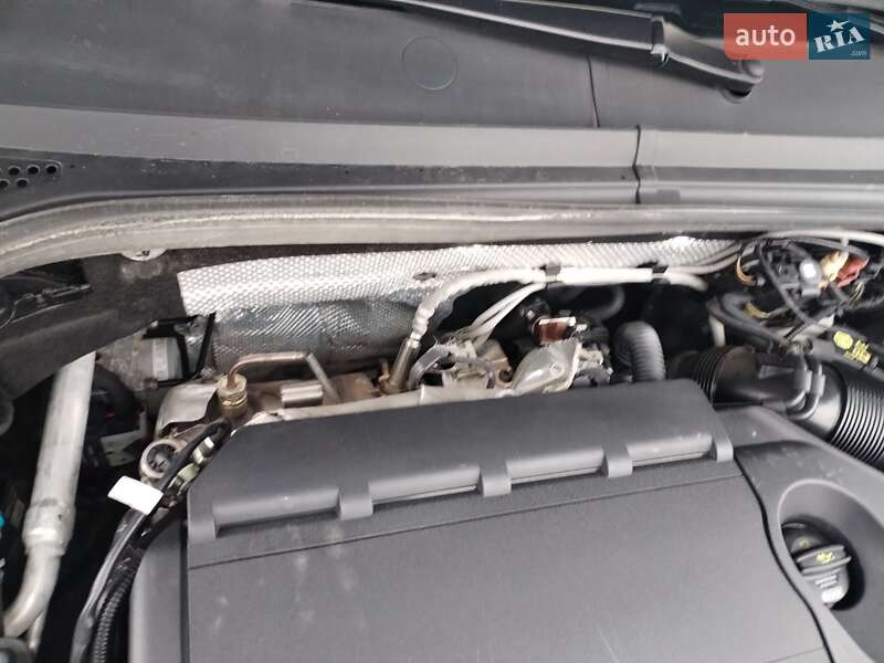 Универсал Volkswagen Passat 2020 в Черкассах