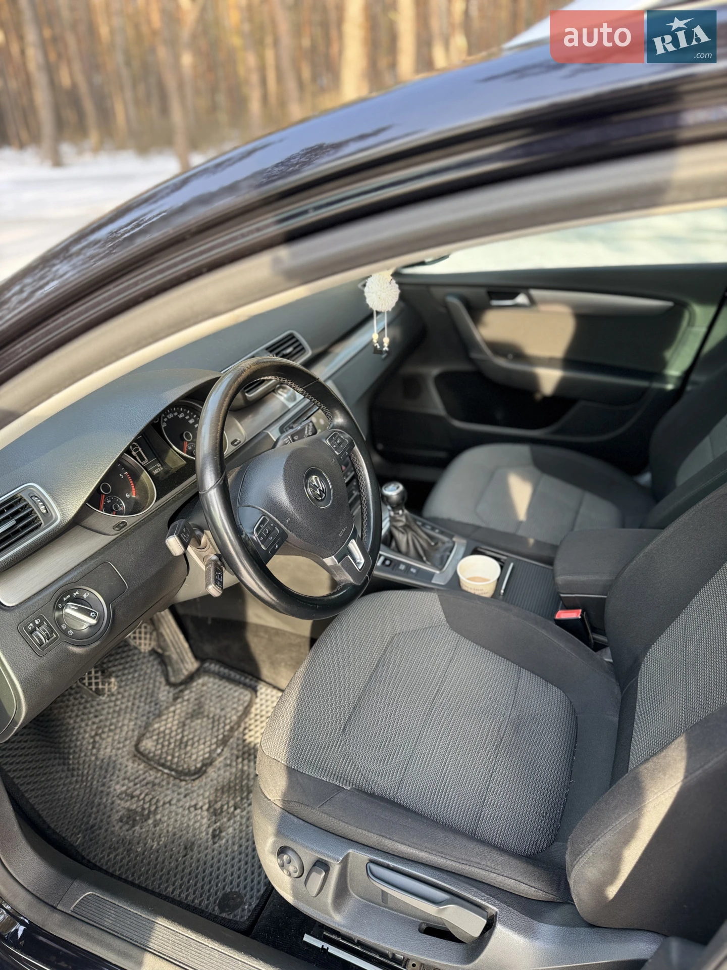 2010 Volkswagen Passat - мініатюра 9