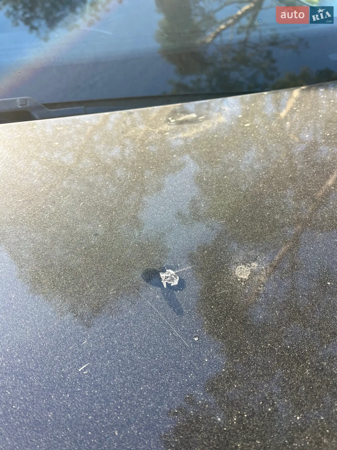 2016 Volkswagen Passat - мініатюра 13