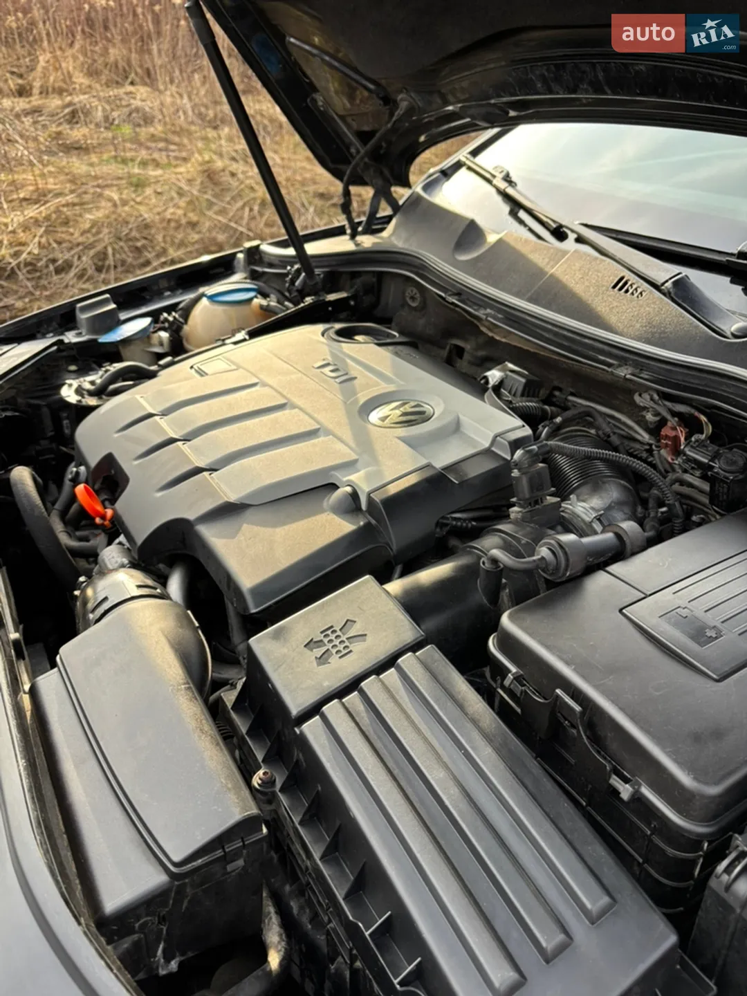 2010 Volkswagen Passat - мініатюра 72