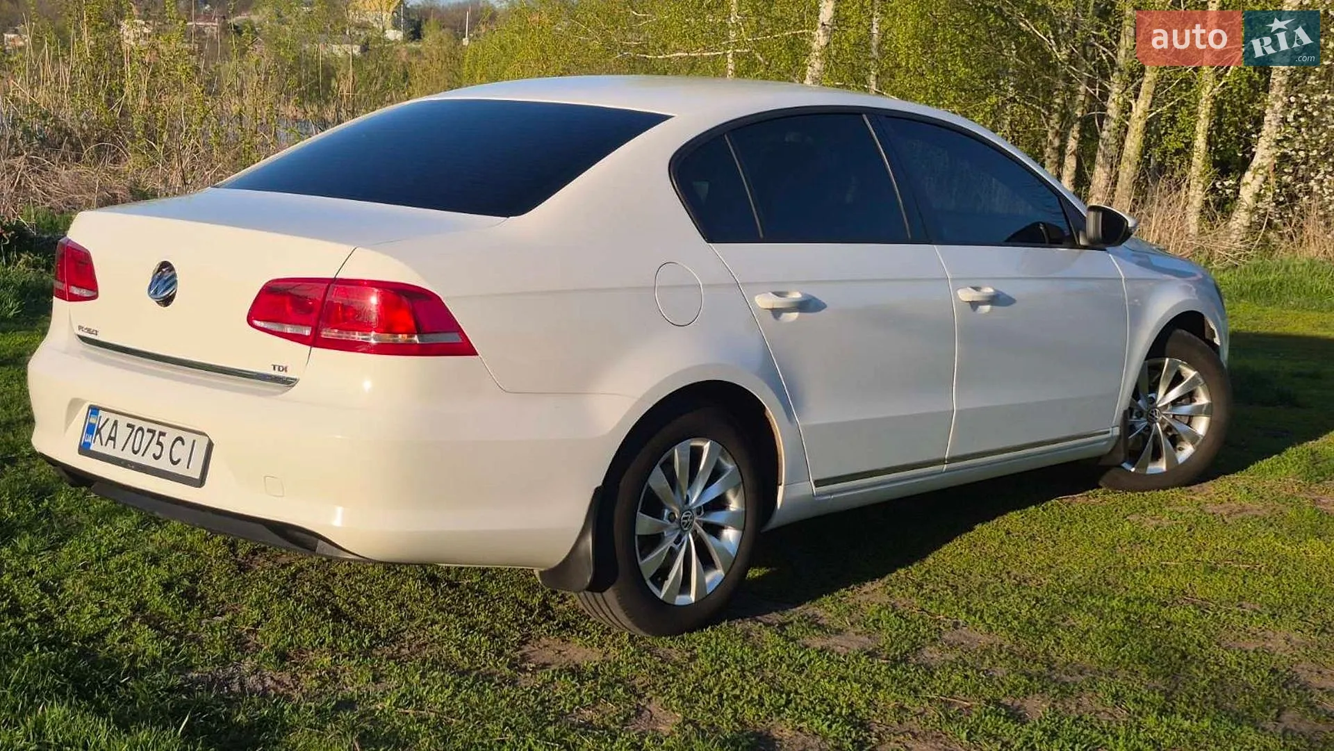 2012 Volkswagen Passat - мініатюра 12