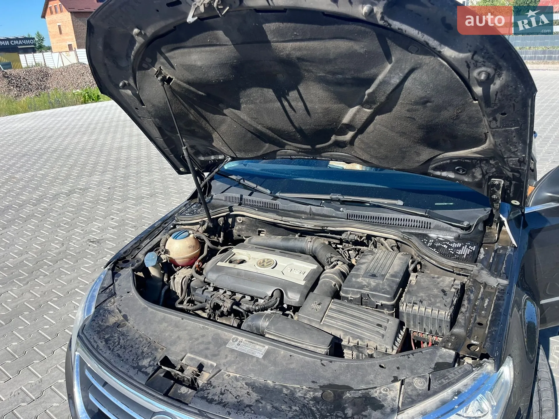 2010 Volkswagen Passat - мініатюра 5