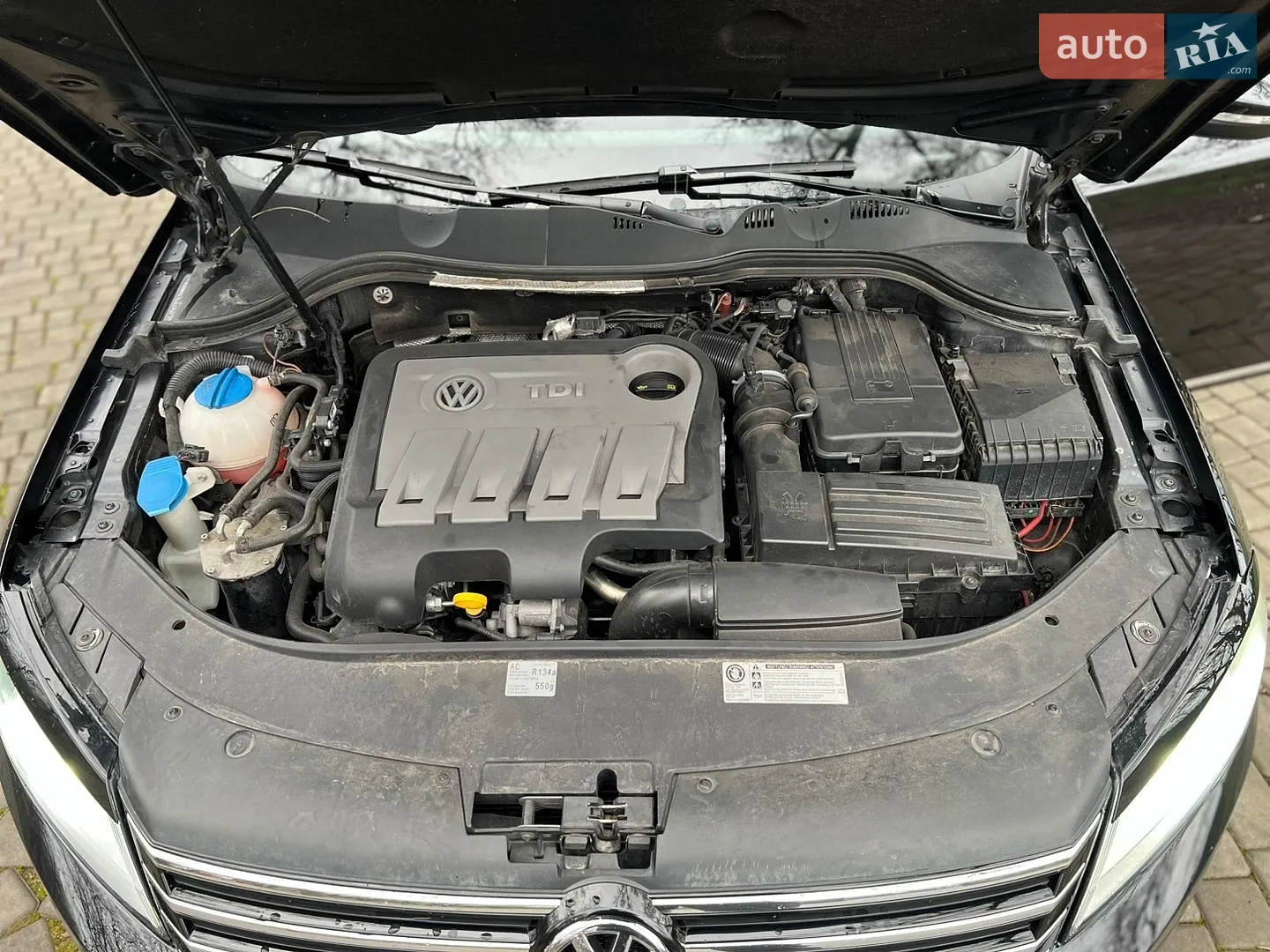 2013 Volkswagen Passat - мініатюра 13