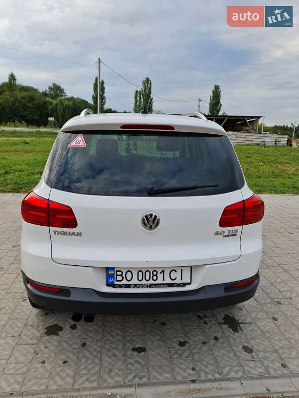 Внедорожник / Кроссовер Volkswagen Tiguan 2013 в Тернополе