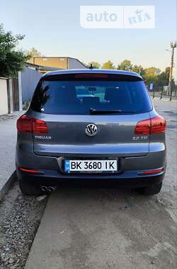 Внедорожник / Кроссовер Volkswagen Tiguan 2013 в Киеве