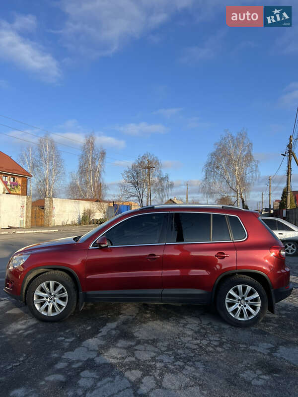 Внедорожник / Кроссовер Volkswagen Tiguan 2009 в Звягеле