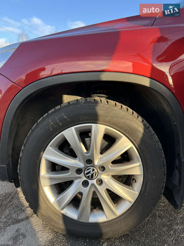 Внедорожник / Кроссовер Volkswagen Tiguan 2009 в Звягеле