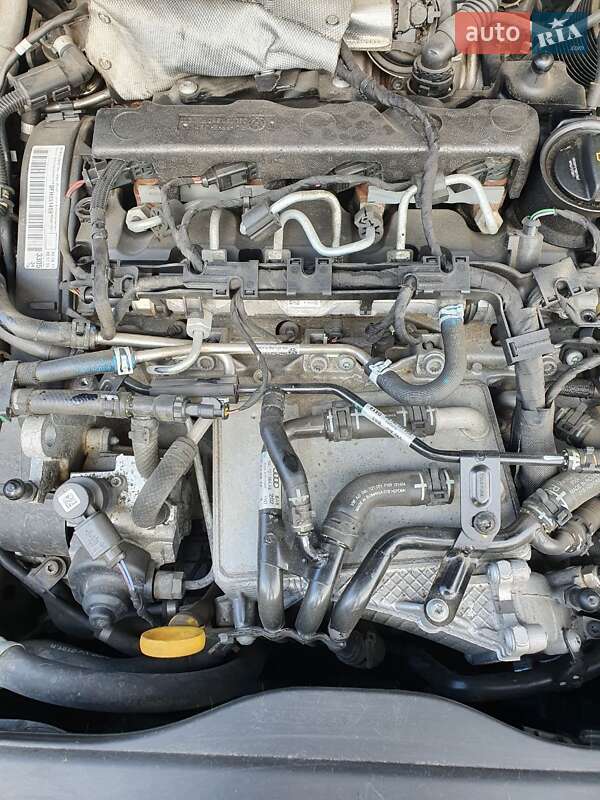 Внедорожник / Кроссовер Volkswagen Tiguan 2017 в Трускавце