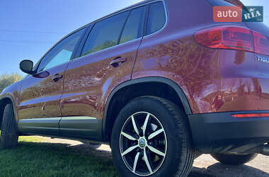 Внедорожник / Кроссовер Volkswagen Tiguan 2013 в 