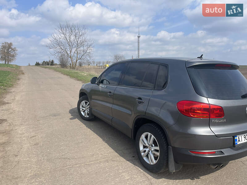 Внедорожник / Кроссовер Volkswagen Tiguan 2013 в Житомире