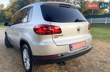 Внедорожник / Кроссовер Volkswagen Tiguan 2017 в 