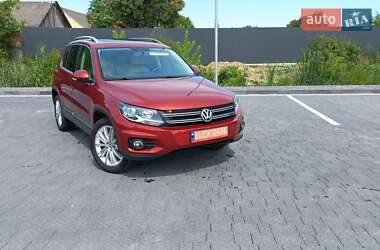 Позашляховик / Кросовер Volkswagen Tiguan 2013 в Самборі
