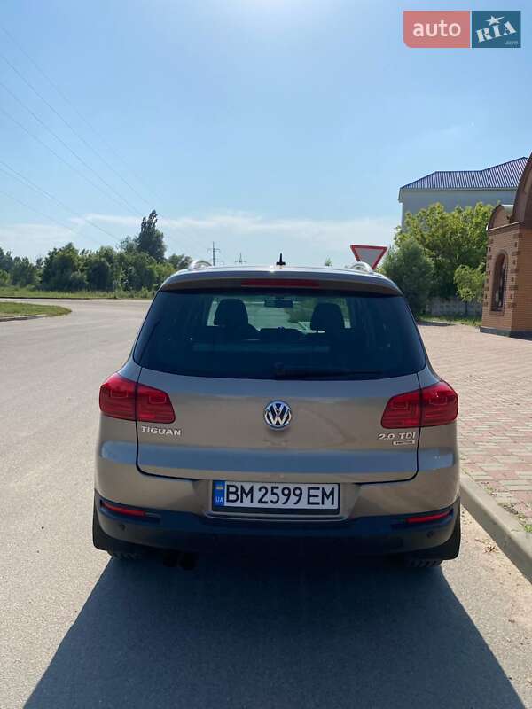 Внедорожник / Кроссовер Volkswagen Tiguan 2012 в Шостке фото 6 Внедорожник / Кроссовер Volkswagen Tiguan 2012 в Шостке