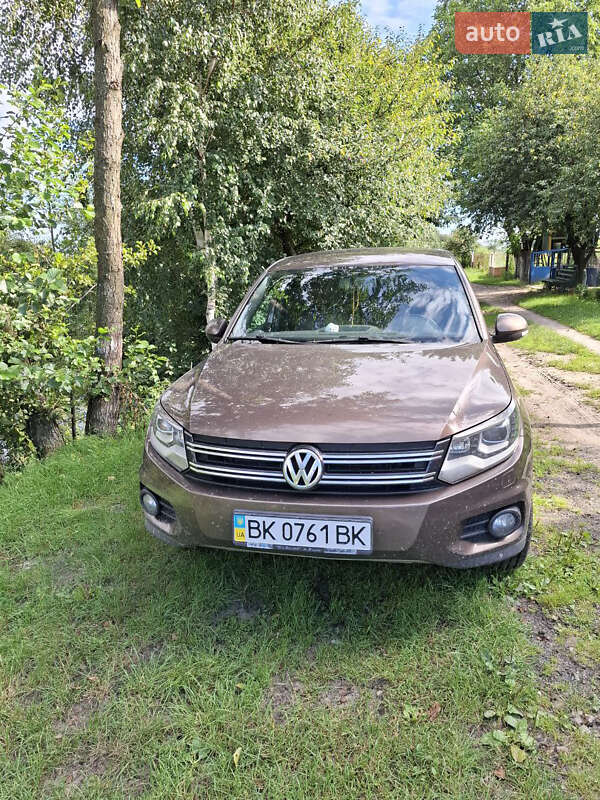 Volkswagen Tiguan 2013 Volkswagen Tiguan 2013