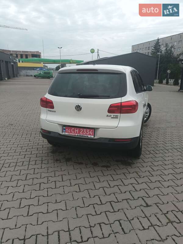 Внедорожник / Кроссовер Volkswagen Tiguan 2012 в Шептицькому