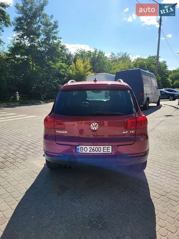 Внедорожник / Кроссовер Volkswagen Tiguan 2014 в Тернополе фото 3 Внедорожник / Кроссовер Volkswagen Tiguan 2014 в Тернополе