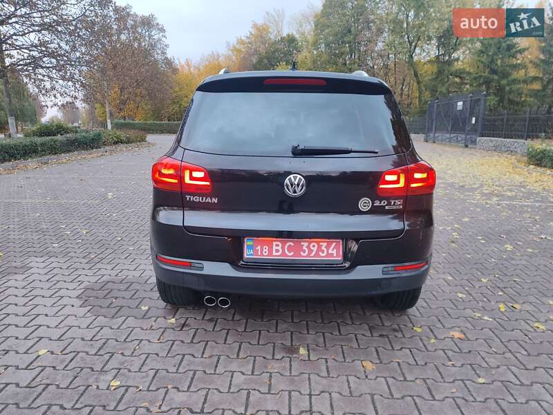 Внедорожник / Кроссовер Volkswagen Tiguan 2014 в Миргороде
