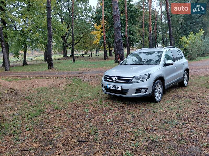 Volkswagen Tiguan 2013 Volkswagen Tiguan 2013