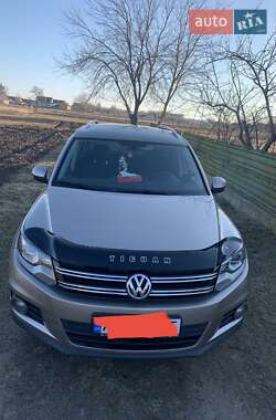 Внедорожник / Кроссовер Volkswagen Tiguan 2014 в Андрушевке