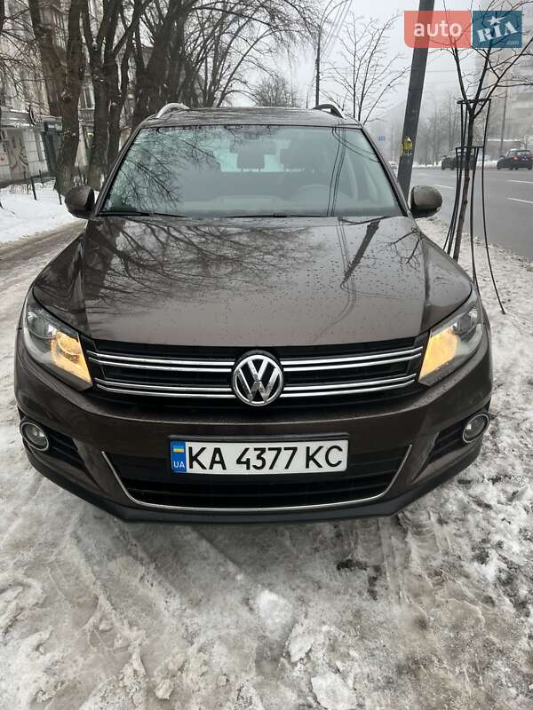 Volkswagen Tiguan 2013 Volkswagen Tiguan 2013
