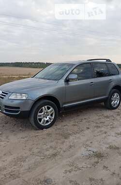 Внедорожник / Кроссовер Volkswagen Touareg 2003 в Фастове