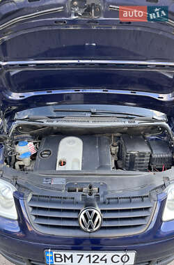 Мінівен Volkswagen Touran 2003 в 