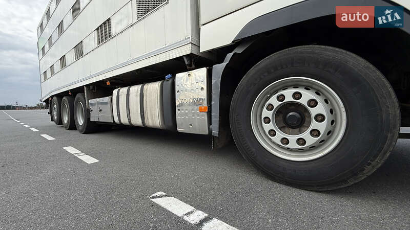 Для перевезення тварин Volvo FH 13 2012 в Дніпрі