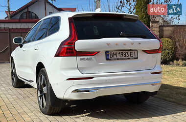 Внедорожник / Кроссовер Volvo XC60 2023 в 
