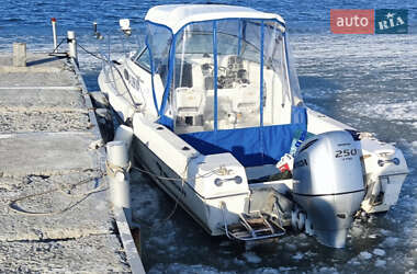 Катер Wellcraft 250 2002 в 