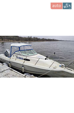 Катер Wellcraft 250 2002 в 