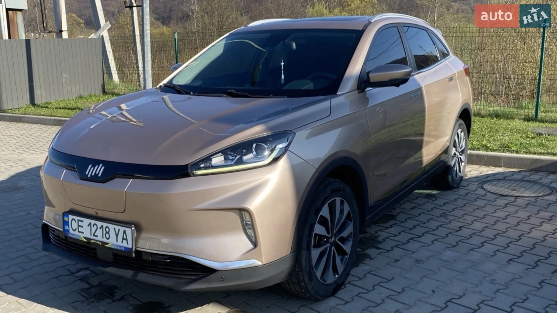 Weltmeister EX5 2019