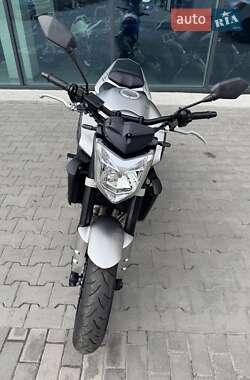 Мотоцикл Без обтекателей (Naked bike) Yamaha FZ-1 2007 в 