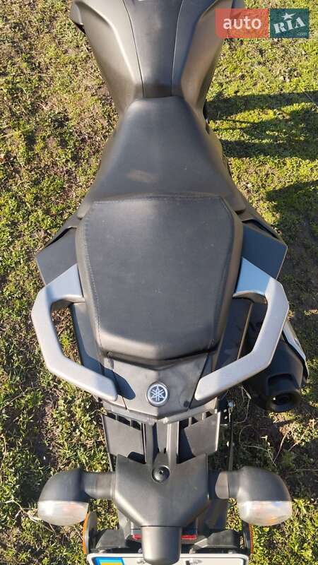 Мотоцикл Без обтекателей (Naked bike) Yamaha FZ 250 2022 в Десне фото 7 Мотоцикл Без обтекателей (Naked bike) Yamaha FZ 250 2022 в Десне