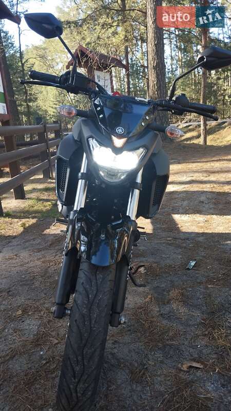 Мотоцикл Без обтекателей (Naked bike) Yamaha FZ 250 2022 в Десне фото 4 Мотоцикл Без обтекателей (Naked bike) Yamaha FZ 250 2022 в Десне