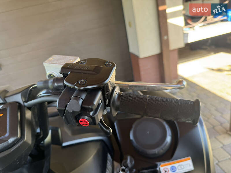 Квадроцикл  утилитарный Yamaha Grizzly 2024 в Ивано-Франковске