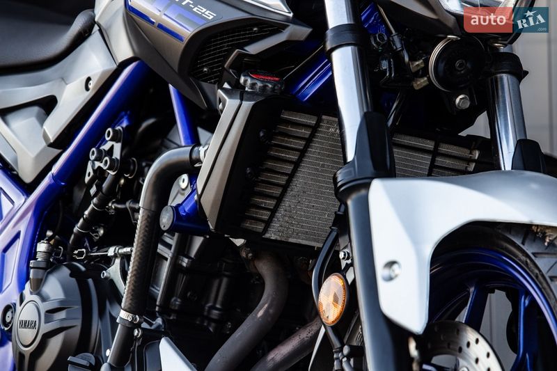 Мотоцикл Без обтекателей (Naked bike) Yamaha MT-25 2015 в Львове