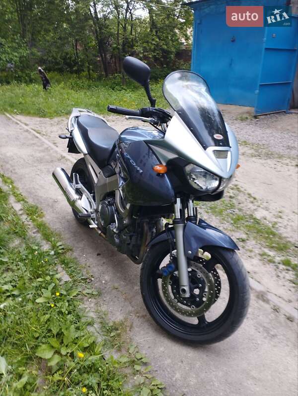 Мотоцикл Багатоцільовий (All-round) Yamaha TDM 900 2004 в Вінниці