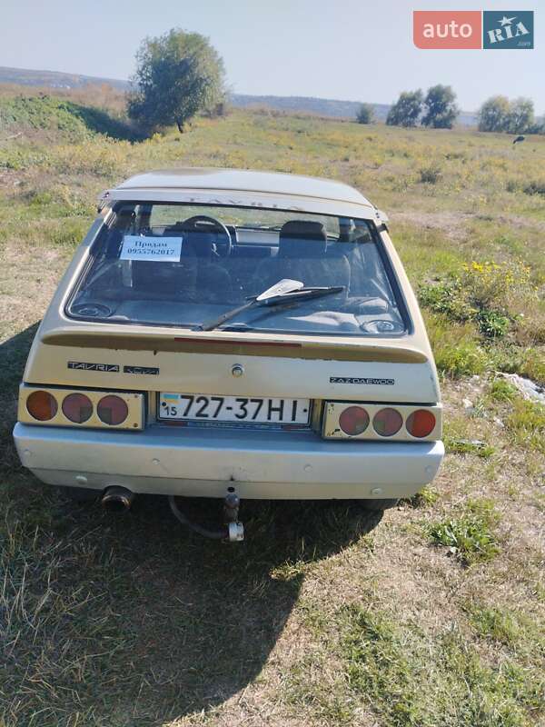 Хэтчбек ЗАЗ 1102 Таврия-Нова 2002 в Вознесенске
