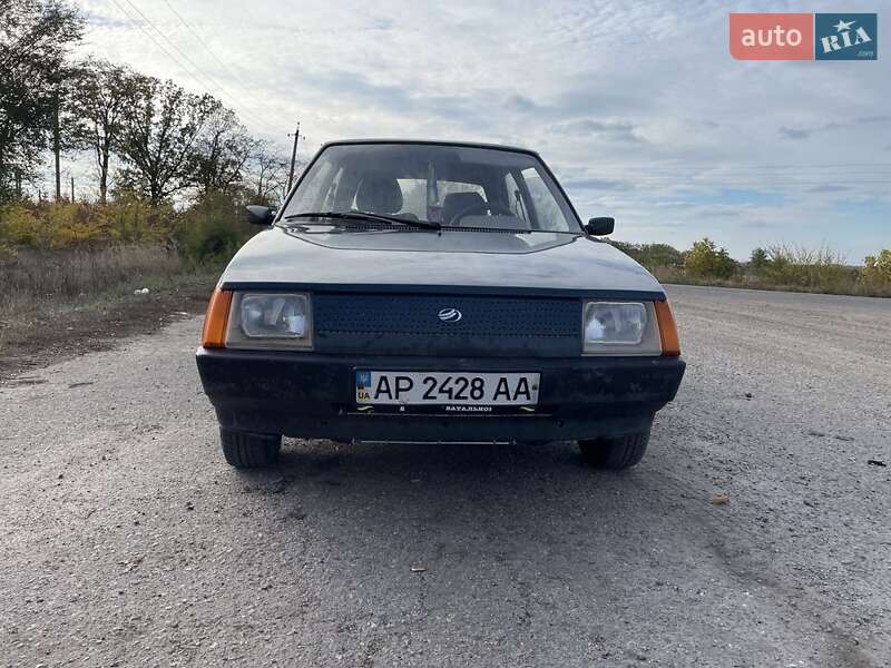 Хэтчбек ЗАЗ 1102 Таврия-Нова 2004 в Запорожье