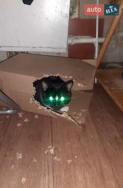 Седан ЗАЗ Lanos 2005 в Краматорске