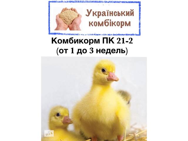 Комбікорм для качок та гусей ПК 21-2 (від 1 до 3 тиж.)