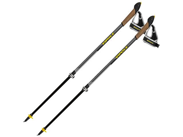 Палки для скандинавской ходьбы Vipole Instructor Vario Ql Dark Dlx