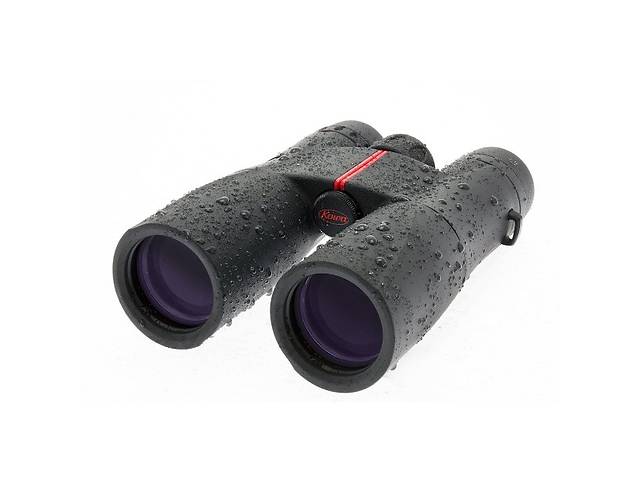 Бинокль Kowa SV 10x42 WP